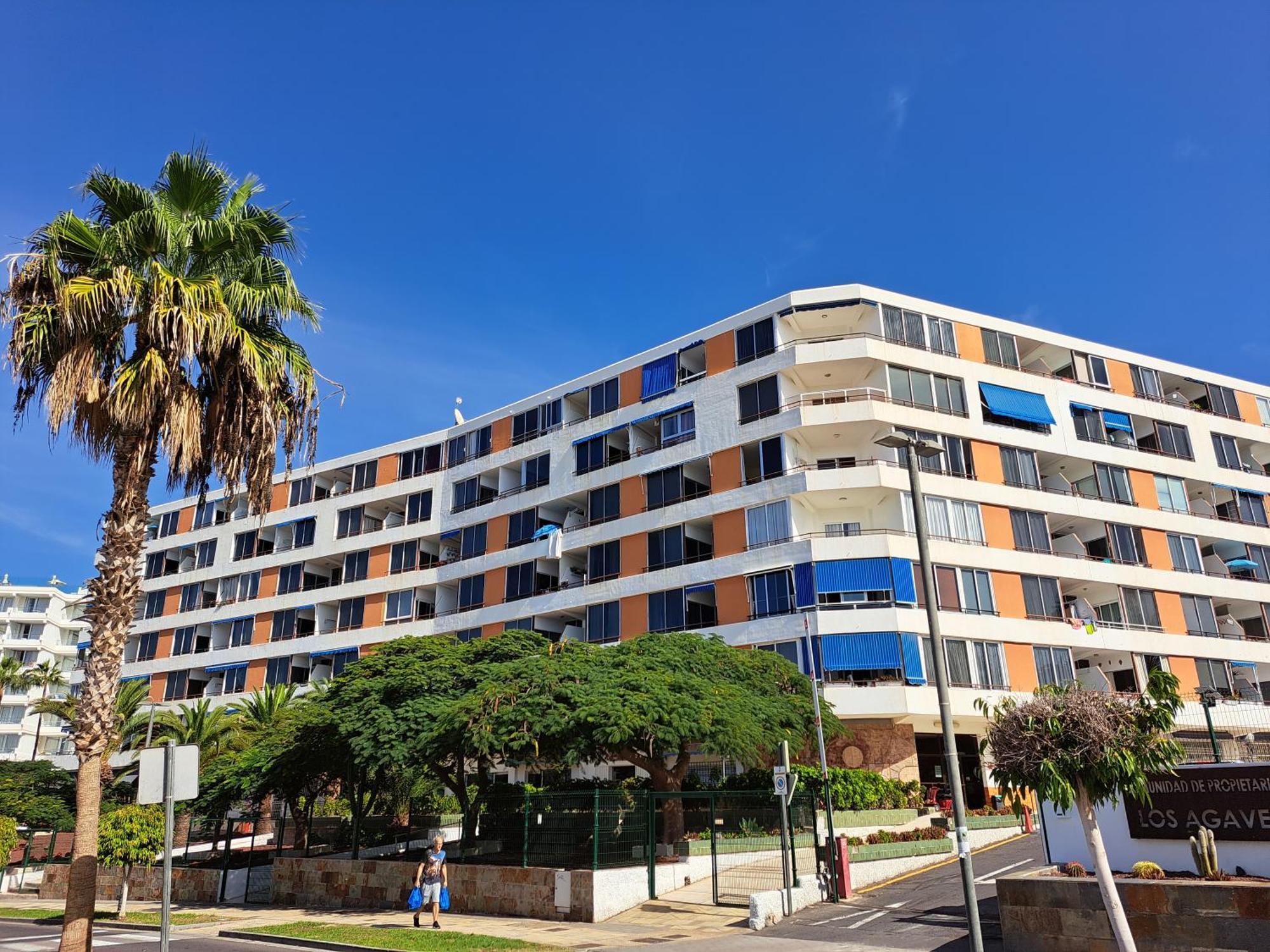 Cozy Ocean And La Gomera View Appartment プラヤ・デ・ラス・アメリカス エクステリア 写真